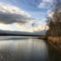 Franzensbad Park - Hof