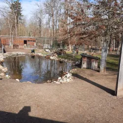 Franzensbad Park - Hof