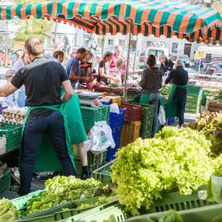 Hof Market Square (Marktplatz) - Hof