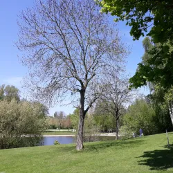 Untreusee Lake - Hof