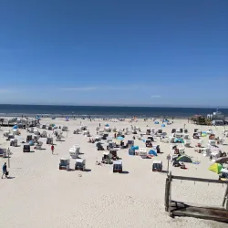 Wadden Sea National Park - Husum