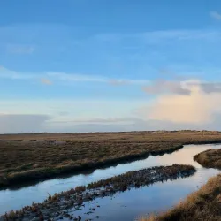 Wadden Sea National Park - Husum