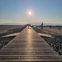 Wadden Sea National Park - Husum