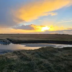 Wadden Sea National Park - Husum