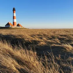 Wadden Sea National Park - Husum