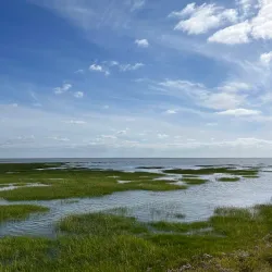 Wadden Sea National Park - Husum
