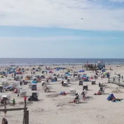 Wadden Sea National Park - Husum