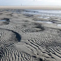 Wadden Sea National Park - Husum