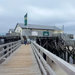 Wadden Sea National Park - Husum