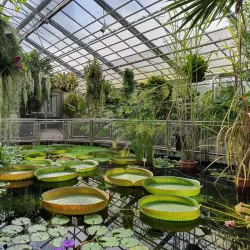 Jena Botanical Garden - Jena