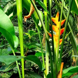 Jena Botanical Garden - Jena