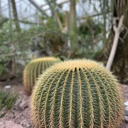 Jena Botanical Garden - Jena