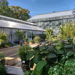 Jena Botanical Garden - Jena