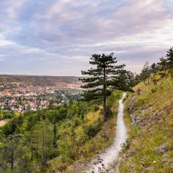 Saale River Promenade - Jena