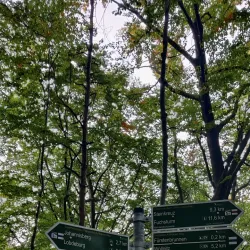 Saale River Promenade - Jena