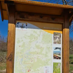 Saale River Promenade - Jena