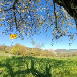 Saale River Promenade - Jena