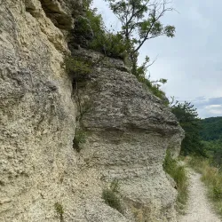 Saale River Promenade - Jena