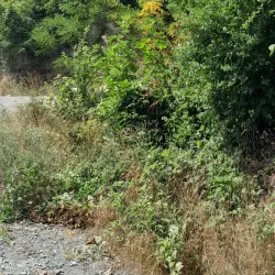 Saale River Promenade - Jena
