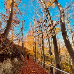 Saale River Promenade - Jena