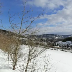 Saale River Promenade - Jena