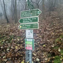Saale River Promenade - Jena