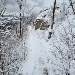 Saale River Promenade - Jena