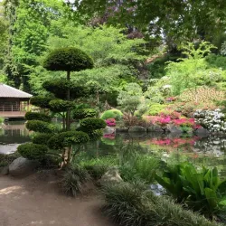 Japanese Garden (Japanischer Garten) - Kaiserslautern