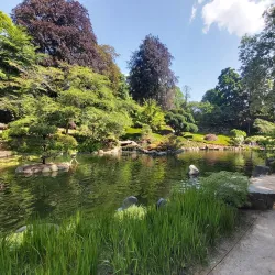 Japanese Garden (Japanischer Garten) - Kaiserslautern