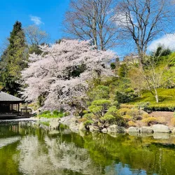 Japanese Garden (Japanischer Garten) - Kaiserslautern