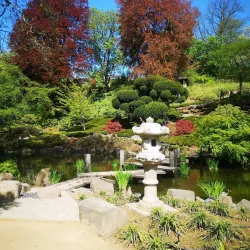 Japanese Garden (Japanischer Garten) - Kaiserslautern