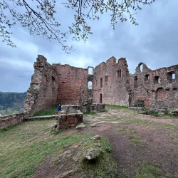 Kaiserslautern Castle (Burg Kaiserslautern) - Kaiserslautern