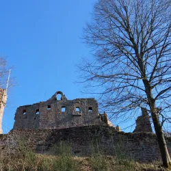 Kaiserslautern Castle (Burg Kaiserslautern) - Kaiserslautern