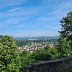 Kaiserslautern Castle (Burg Kaiserslautern) - Kaiserslautern