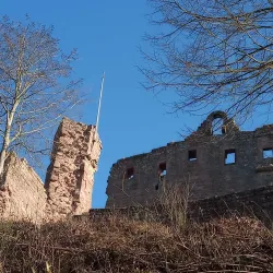 Kaiserslautern Castle (Burg Kaiserslautern) - Kaiserslautern