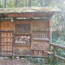 Kaiserslautern Zoo (Zoo Kaiserslautern) - Kaiserslautern