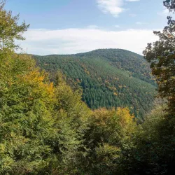 Palatinate Forest Nature Park (Naturpark Pfälzerwald) - Kaiserslautern