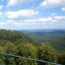 Palatinate Forest Nature Park (Naturpark Pfälzerwald) - Kaiserslautern