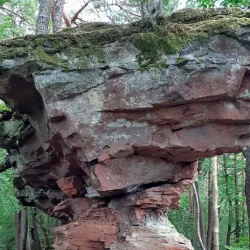 Palatinate Forest Nature Park (Naturpark Pfälzerwald) - Kaiserslautern