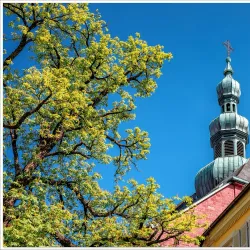 St. Martin's Church (Martinskirche) - Kaiserslautern