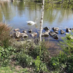 Volkspark Kaiserslautern - Kaiserslautern