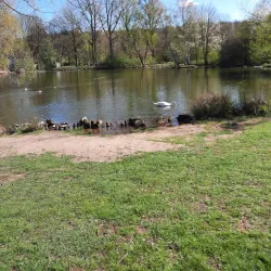 Volkspark Kaiserslautern - Kaiserslautern