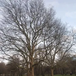 Volkspark Kaiserslautern - Kaiserslautern