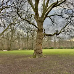 Volkspark Kaiserslautern - Kaiserslautern