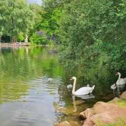 Volkspark Kaiserslautern - Kaiserslautern