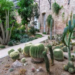 Botanical Garden Karlsruhe (Botanischer Garten Karlsruhe) - Karlsruhe