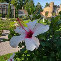 Botanical Garden Karlsruhe (Botanischer Garten Karlsruhe) - Karlsruhe