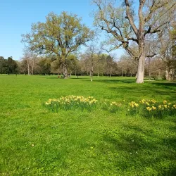 Schlossgarten Karlsruhe - Karlsruhe