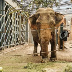 Zoological Garden Karlsruhe (Zoo Karlsruhe) - Karlsruhe