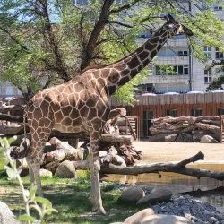 Zoological Garden Karlsruhe (Zoo Karlsruhe) - Karlsruhe